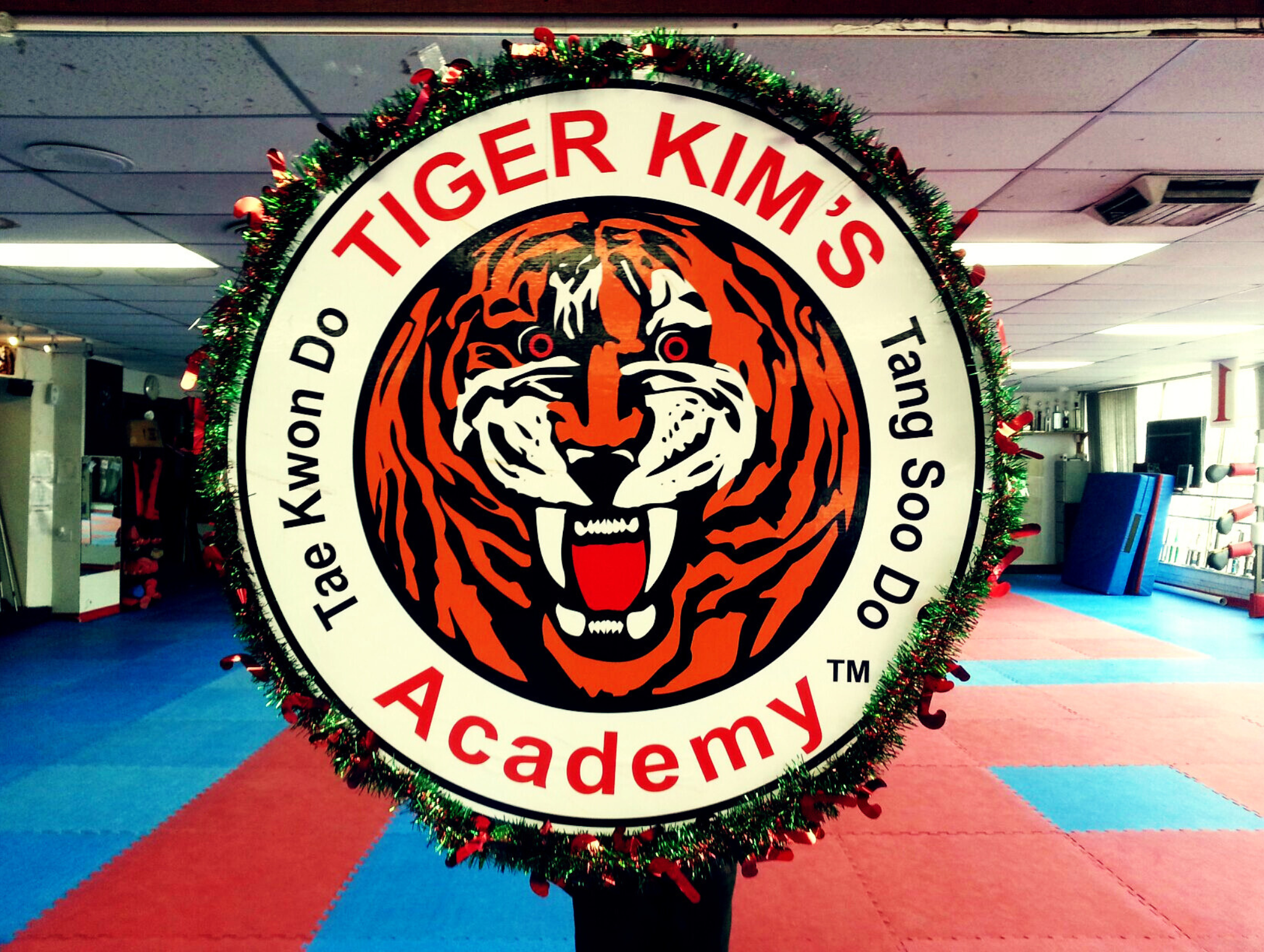 Tiger Kim's Academy