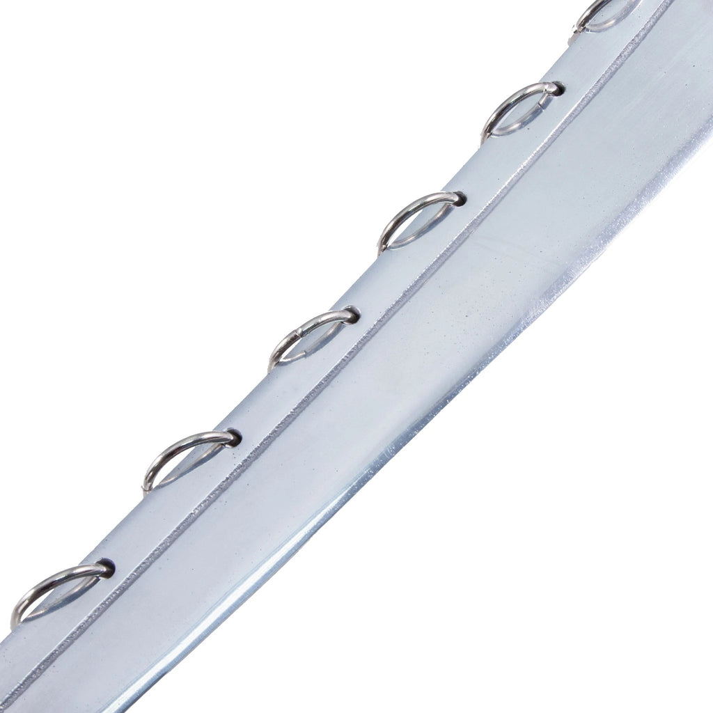 9-Ring Broadsword with Lion Engraving