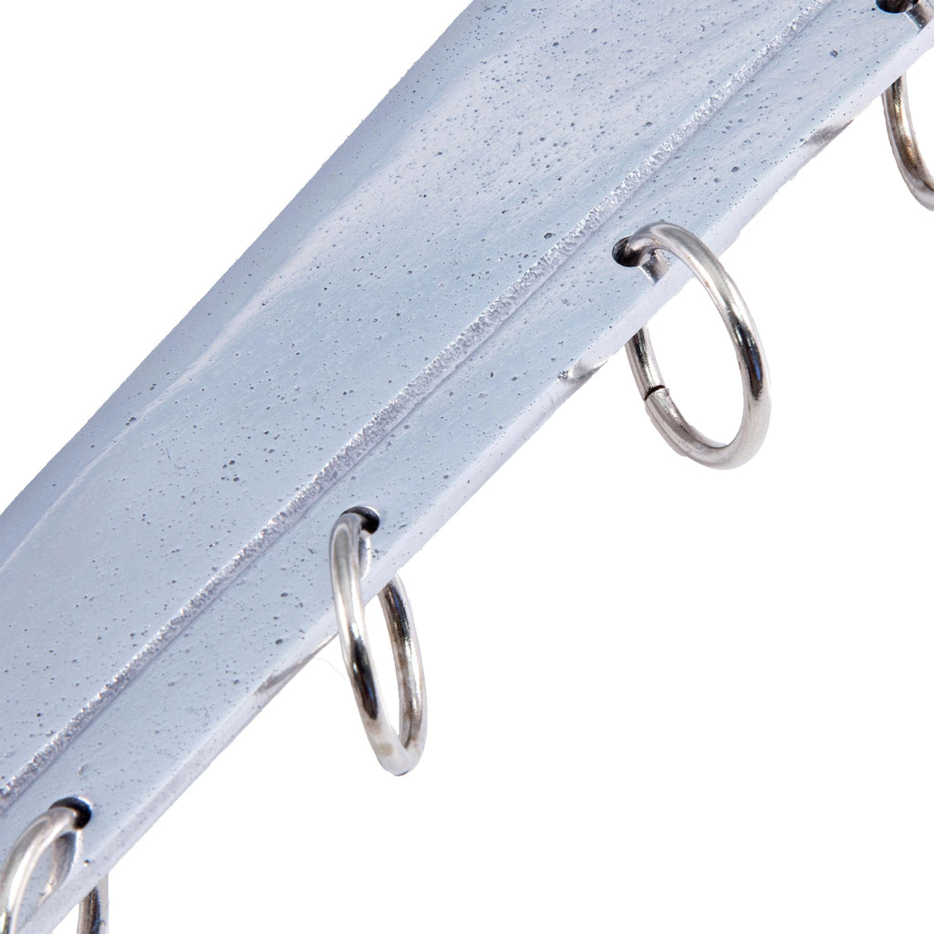 9-Ring Broadsword with Lion Engraving